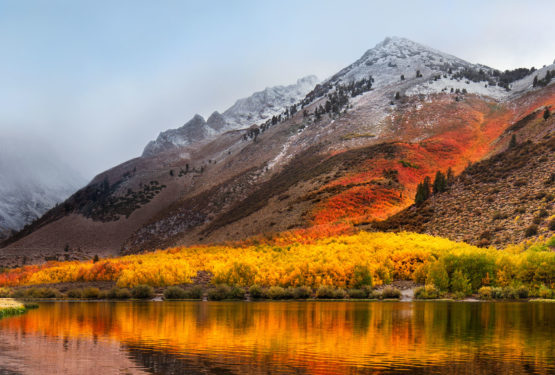Root senza password: Gravissima vulnerabilità in MacOS High Sierra