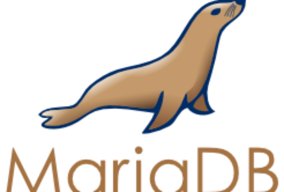 Connettere MariaDB e Python su Raspberry Pi