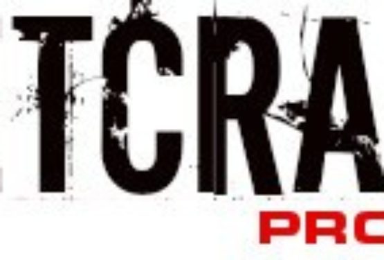 Un libro davvero bello: Netcrash